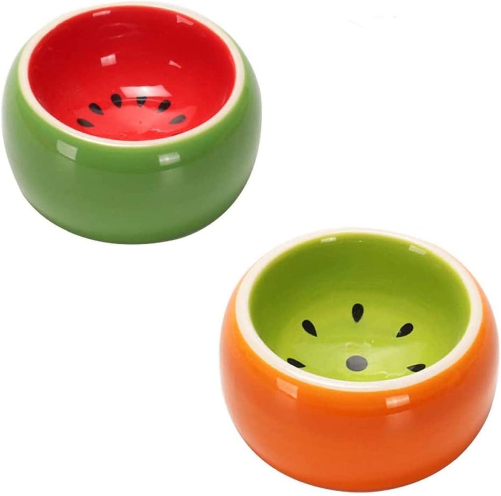 adorable Watermelon feeding bowl 