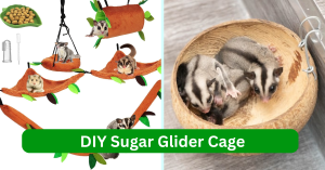 DIY Sugar Glider Cage - 5 Different Styles